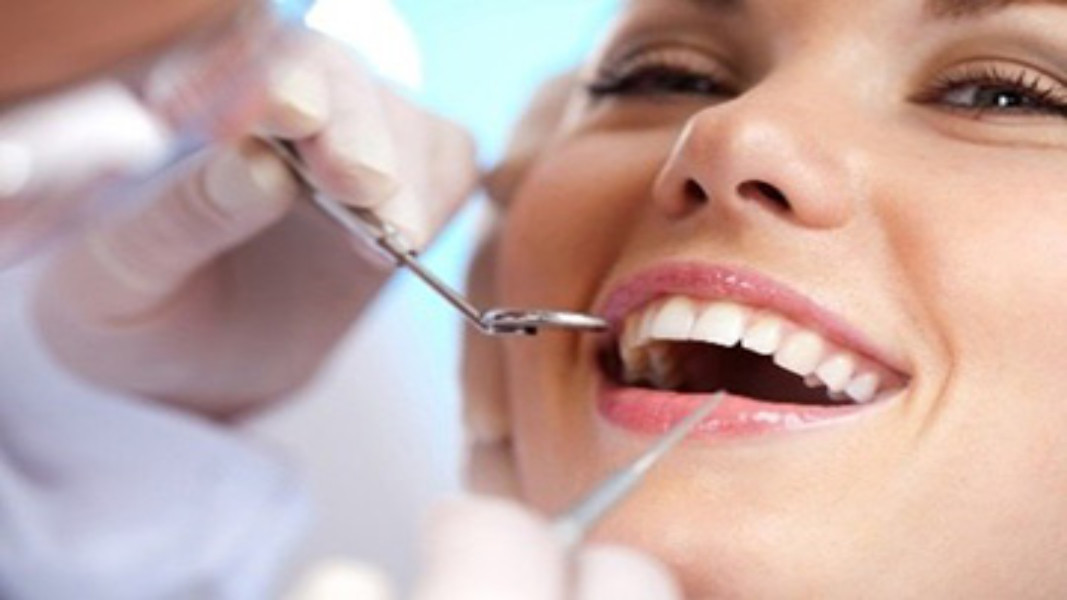 CHINA China C B Dental Lab Co. Limited Bedrijfsprofiel