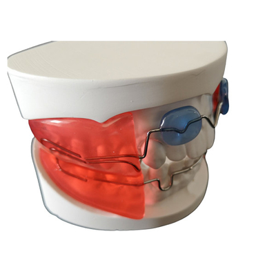 De tand Orthodontische Eenvoudige Toestellen installeren High-tech Biologisch Materiaal