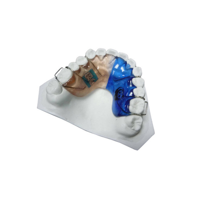 Hoge Duurzaamheid Regelbare het Bevestigen Orthodontische Toestellendraad