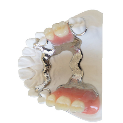 Van de Brug Goede Biocompatibility van FDA PFM Tand 3D de Druk Tandmodellen