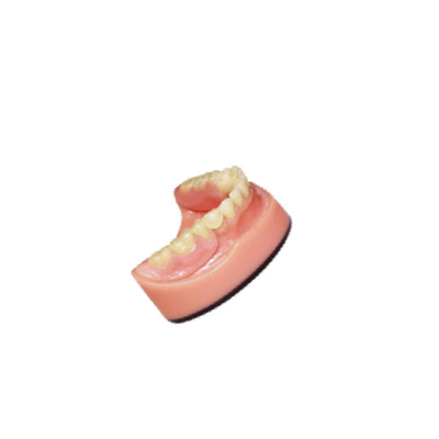 Van het de Brug 3D Digitaal Intraoral Aftasten van het gebit Tandlaboratorium PFM Tand de Weergavesysteem