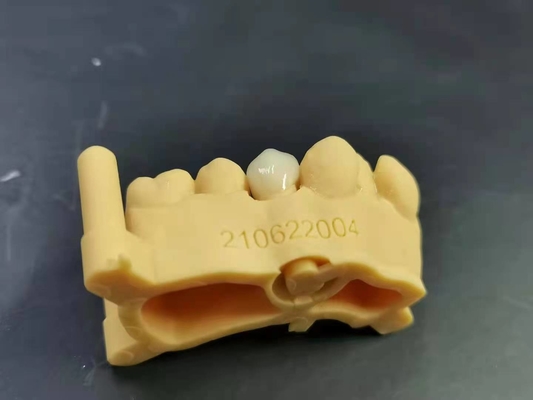 OEM 3D Tand het laboratorium Digitaal Ontwerp van het Druk Flexibel Acrylgebit