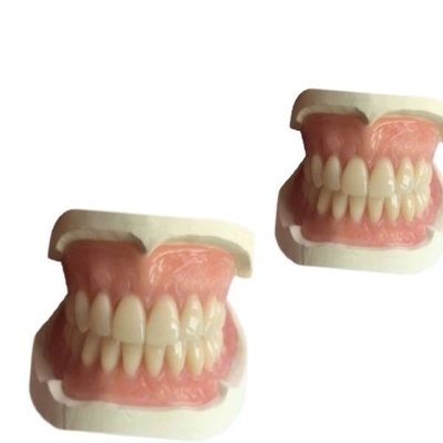CAD CAM van het Gebit de Tandlaboratorium Rubber 3D Gedrukte Schaduw van Natrural van de Tandkroon